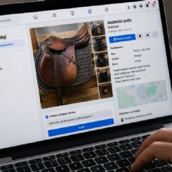 Žena z Jindřichohradecka hledala sedlo na Facebooku. Podvodník ji připravil o 15 tisíc