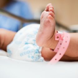 Česko mělo na konci června o 12 200 obyvatel méně. Porodnost dál klesá, migrace ztrátu jen tlumí