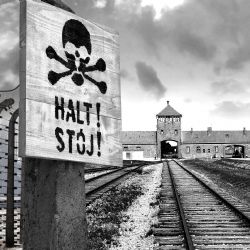 Jak si Česko připomíná holokaust? Výzkum mapuje stovky pomníků i „kameny zmizelých“