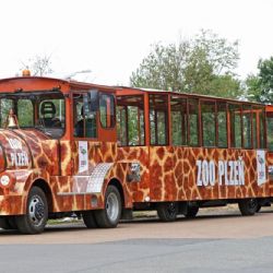 K plzeňské zoo vyjíždí zbrusu nový vláček. Dvacetiletý vůz míří do výslužby