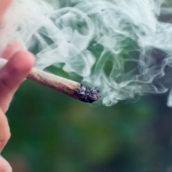 Limity THC v krvi řidičů mohou nesprávně trestat uživatele konopí