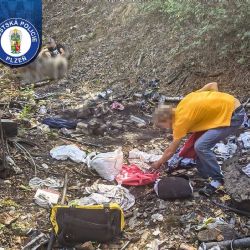 Strážníci šli po kouři u Úslavy. Našli muže od popela a ohniště se starým oblečením
