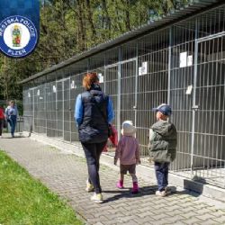 Útulek v Plzni otevře své brány. Přijďte poznat jeho zvířecí obyvatele i zákulisí péče