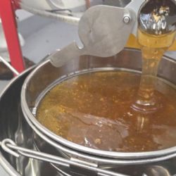 Včely ve vozovně Vokovice letos vyprodukovaly 110 kilogramů medu. DPP pokračuje v podpoře biodiverzity