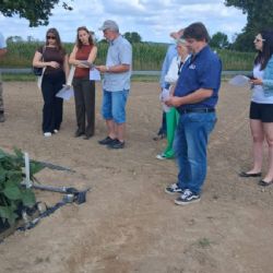 Ve Valečově testují agrovoltaiku u brambor a sóji, první výsledky ukazují hlavně vliv závlah