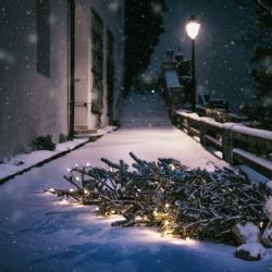 Jak se správně zbavit vánočního stromku? Do popelnice nepatří