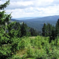 Šumava a Jeseníky lámaly historické teplotní rekordy