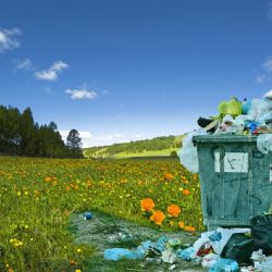 Ekologická transformace - klíč k podnikatelskému úspěchu