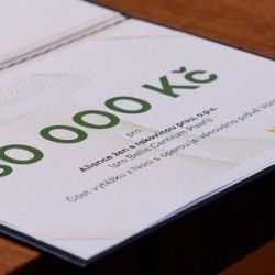 Plzeň rozdělila 120 tisíc korun mezi místní neziskovky