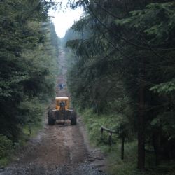 Stezka u Černého jezera je kvůli kůrovci uzavřená až do konce března