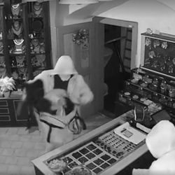 Vltavíny za 1,4 milionu: dva pachatelé ve vazbě