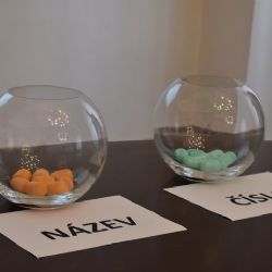 Volební los v Plzni rozhodl. Třináct kandidátek i osm senátních uskupení zná pořadová čísla