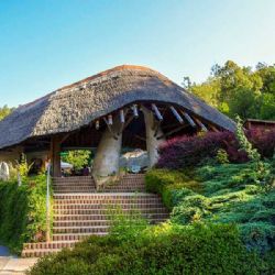 ZOO Jihlava: Nové výběhy pro kočky za 9,3 mil. Kč