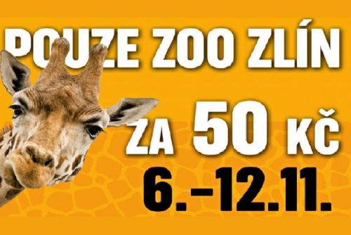 Obrázek - 